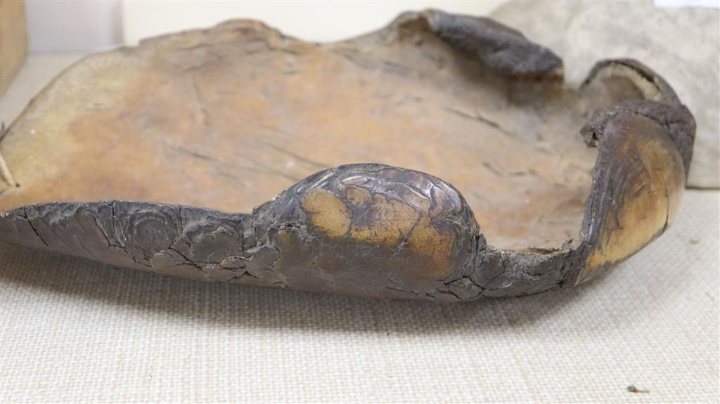 The sole of an elephants foot, 19th century